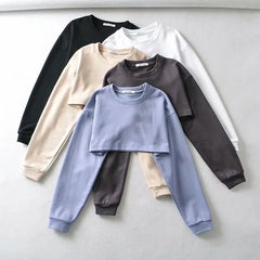 Set: Round Neck Plain Crop Pullover + Drawstring Waist Sweat Shorts
