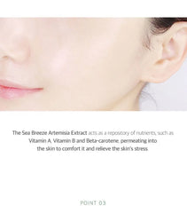 Mugwort Calming Mask