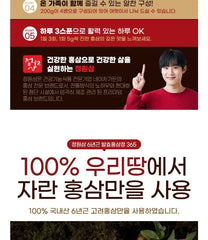 Korean Fermented Red Ginseng Extract 365