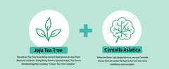 Tea Tree Cica Trouble Soothing Toner Pad 2pcs Bundle Set