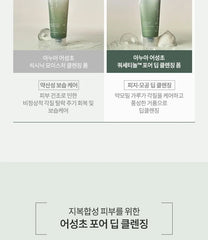 Heartleaf Quercetinol Pore Deep Cleansing Foam Mini