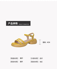 Strappy Platform Chunky Heel Sandals