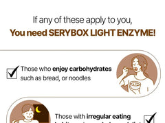 Light Enzyme V2