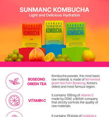 Tea For Better Life Kombucha Mini Pack - 7 Types
