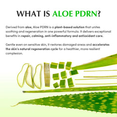 Aloe PDRN Calming Toner
