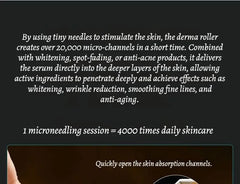 Alloy Mesotherapy Microneedle Roller (Various Designs)