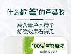 Freeze Dried Powder Essence Aloe Vera Gel Mini