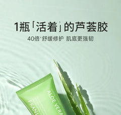 Concentrated Essence Aloe Vera Gel Tube