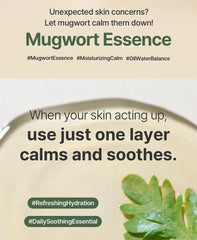 Mugwort Essence