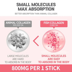 Small Molecular Collagen C 5pcs Bundle Set