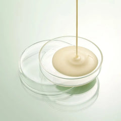 Green Tea Calming Cream + Biome Balance For Normal To Oily Skin