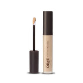 Scene Steal Concealer - 2 Colors