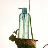 Salicylic Acid Fragrance Shower Gel
