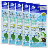 Mint Mouthwash Jumbo