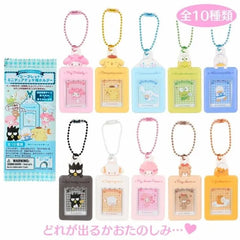 Sanrio Character Secret Miniature Card Holder Bag Charm Type B (Blind Box)