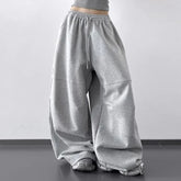 Drawstring Waist Plain Panel Baggy Sweatpants