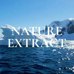 Glacial Biome Water No-Sebum Cushion