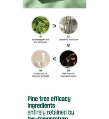 Pine Calming Cica Mask