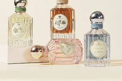 Angel Fantasy Paradise Series Perfume - CFR1182 Summer Blackcurrant