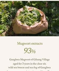 Mugwort Sheet Mask Set 2pcs Bundle Set