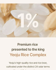 Rice Toner Pad