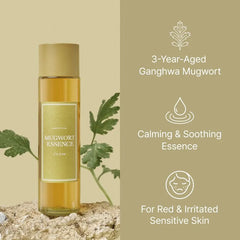 Mugwort Essence Mini 10pcs Bundle Set