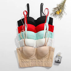 Plain Panel Bustier Top