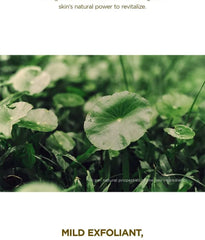 Madagascar Centella Toning Toner Jumbo
