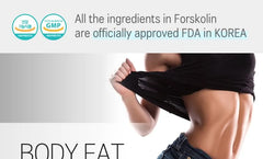 Diet Special 1 Forskohli 500