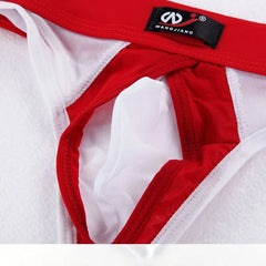 Panel Mesh Briefs