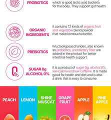 Tea For Better Life Kombucha - 7 Types