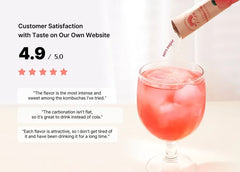 Kombucha Bundle Set - 12 Types