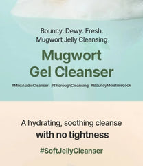 Mugwort Gel Cleanser 2pcs Bundle Set