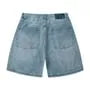 Washed Distressed Denim Shorts